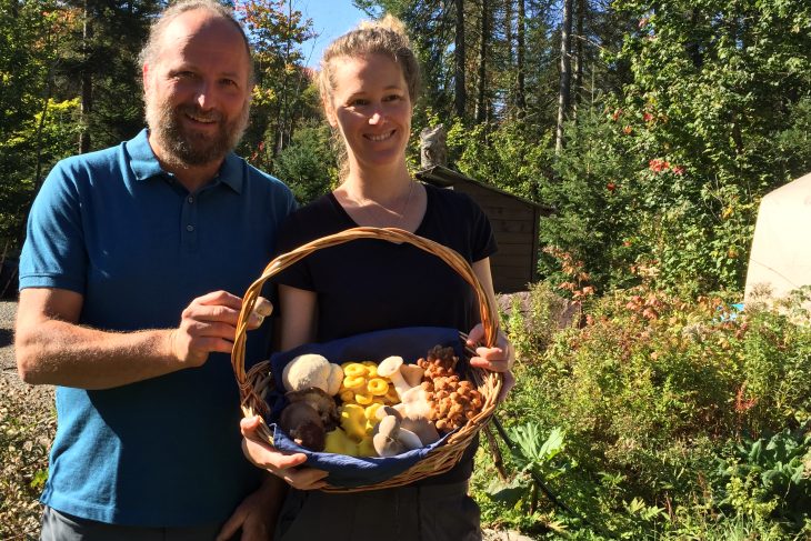 Homme et femme qui présentent un panier de champignons sauvages