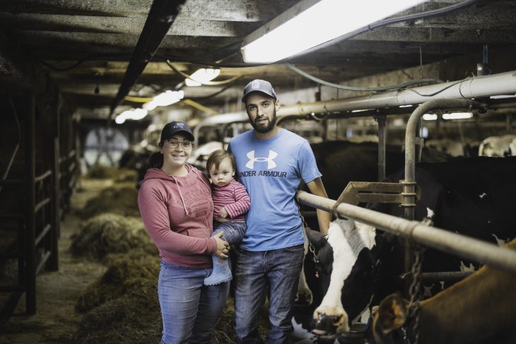 Agriculteurs en production laitière dans l'étable, devant les vaches